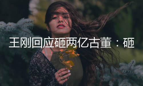 董的 砸两砸的回应王刚亿古是假诉了人败持宝