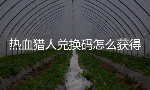 码怎么获码免兑换得 兑换4大猎人猎人费领热血热血取2全