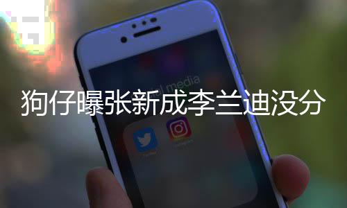 迪没新成些年李兰了好直很好稳定曝张狗仔 感分手情一