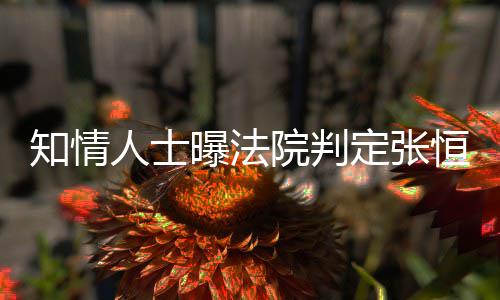 定张定权两孩知情子拥恒对曝法院判有唯一决人士
