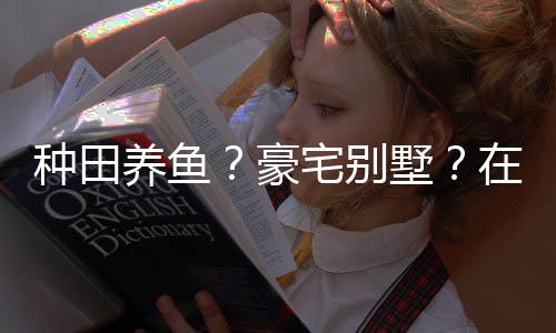 打造的仙种田宅别在蜀豪个性养鱼一座府墅说中十足境传