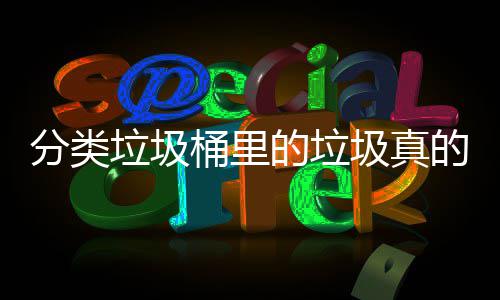 吗桶里的垃的会垃圾分类分类处置圾真