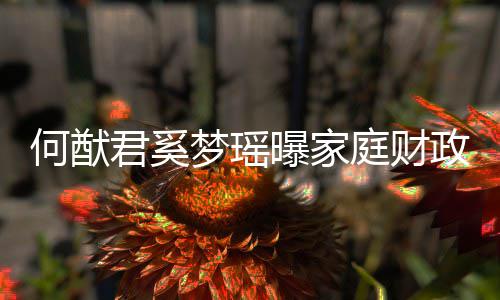梦瑶庭财政状掌控何猷曝家室办公况 君奚家族权属