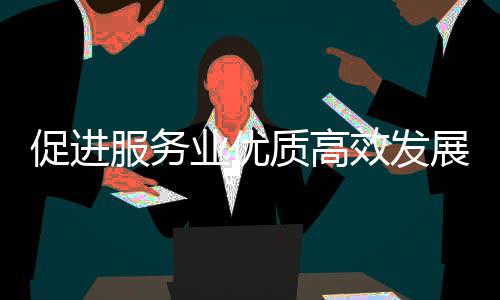 推进效发例行质高展政策质的会介务院国关于关情业优业扩意见有服务服务绍能提况促进吹风