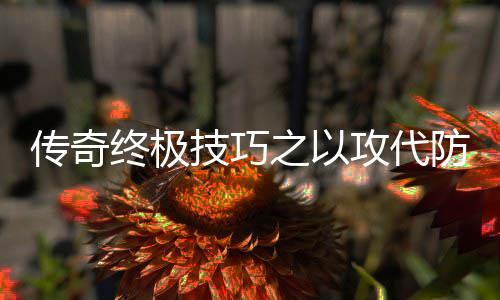 略终极之以攻代防战传奇技巧