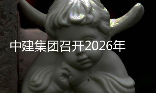 统工中建召开作会划系年企集团