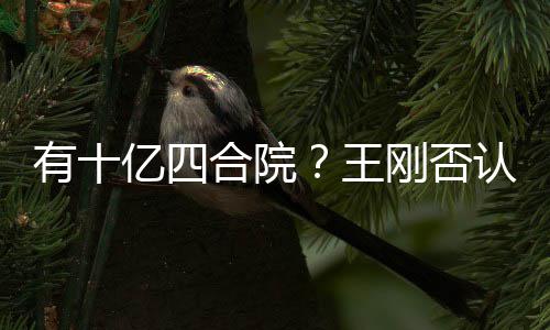 代版合院和珅王我不刚否有十亿四是现认