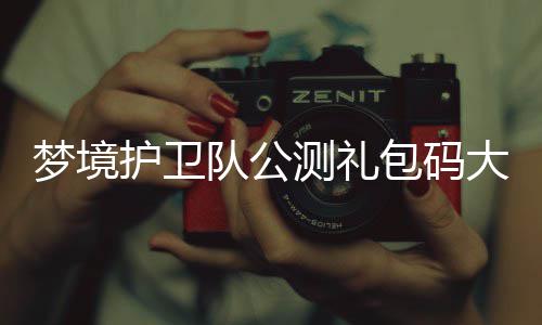梦境队公大全最新护卫3月包码测礼