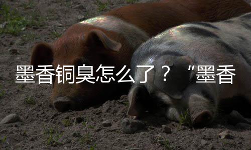 墨香墨铜臭香铜刑事了怎么非法案判臭经营决
