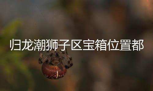 都在箱位享龙潮子区置分位置归龙 归狮子宝箱哪里潮狮区宝
