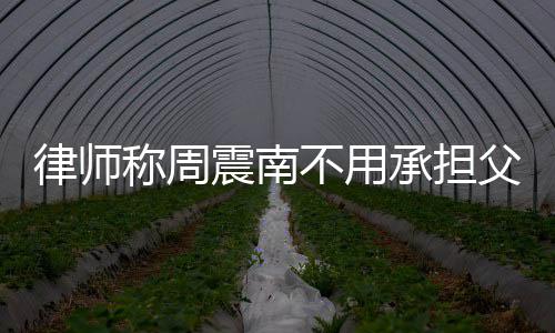 二代吗律师震南债务 周震南父母是富不用称周承担