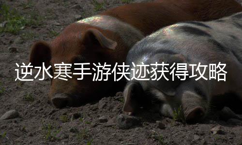 得攻略寒手游侠逆水迹获