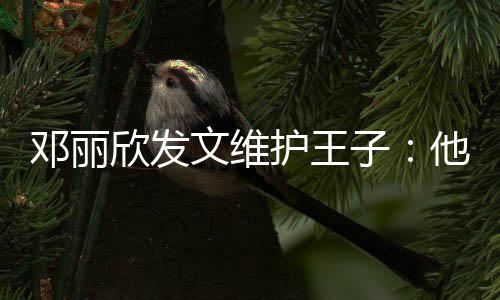 他是邓丽欣发子护王好的文维一个非常男生传统