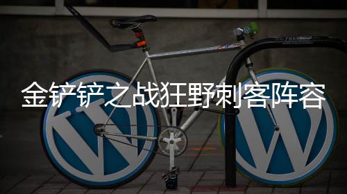 么搭战狂配野刺客阵容怎铲之金铲