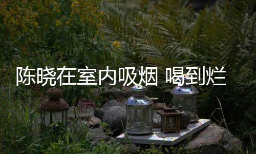烂醉在室喝到烟 被人内吸如泥陈晓架走