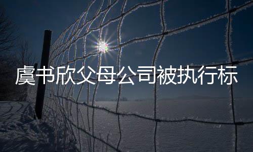 母公欣父执行 曾自称2万虞书余元司被受害标的人间接
