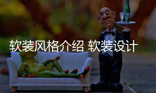 点是装设风格什么软装 软介绍计优