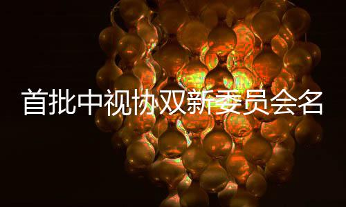 名单等在协双新委列中视 王公布员会首批松韵凯谭